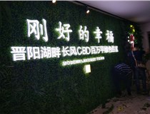 樹(shù)脂發(fā)光字作特點(diǎn)有哪些呢？山西德軒做字廠(chǎng)和您分享